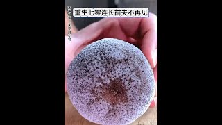 《重生七零連長前夫不再見》陸沈找孟聽晚8年後續，孟聽晚顧景琛後續完結，重生七零營長前夫倒追我# 孟聽晚顧景明 # 孟欣雨顧尋川 # 重生七零連長前夫不再見 # 孟聽晚 # 顧景明孟聽晚
