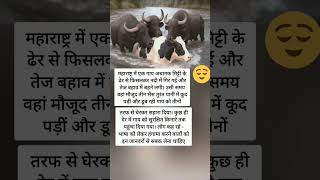 #motivation #youtubeshorts #amazing #facts #cricket #ipl #upsc #dailyshorts #viral #civilserviceexam