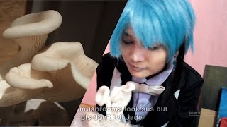 Twisted Wonderland CMV ( Jade Leech Cosplay - Shroom Blogging )   #ジェイドリーチ    #ディズニー ツイステッドワンダーランド