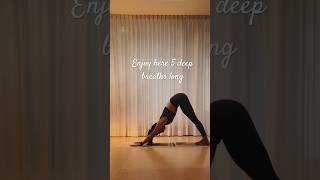 Yoga Basics - Sun salutation A with some guidance  💛 #yogadaily #yoga #yogaforbeginners #yogabasic