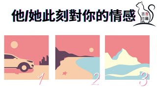 【#2102】【塔罗·字卡·占卜】他/她此刻對你的情感 | 宝琳娜幻境塔罗牌 | 花語神諭 | 大天使麥可神諭卡 (無時間限制)