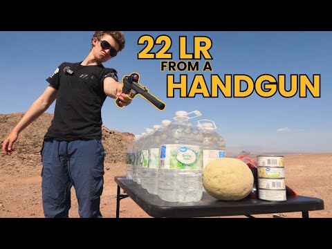 How Lethal Is A 22LR... Out Of A Pistol?