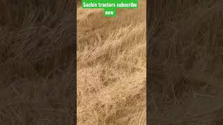 harvester cutting for bhusa machine ke dwara bhusa banata hai #trending #viral #harvester