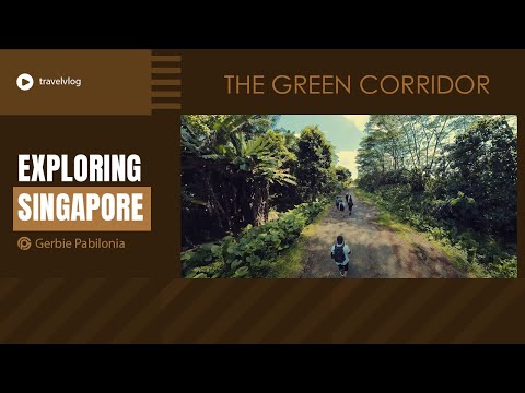 #singaporetravel 2024 / The Green Corridor / Best nature-based tourist spots