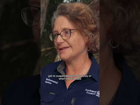 ‘Hopefully we can fish them to extinction’ - pest eradication at Auckland lake | RNZ
