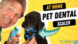 Dr. Jones Tries At Home Dental Scaler - Does It Work?