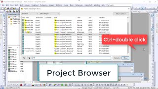 Project Browser