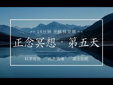 【正念冥想入门】第五天 无拣择觉察   改善情绪，减压助眠，放松身心，缓解内耗，减少焦虑抑郁情绪，提升专注，找回内心的宁静和幸福