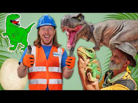 🦕Dinosaur Adventure with Handyman Hal 🦖 T-Rex, Triceratops, and Dinosaur Egg Hatching