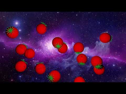 Pomidorsy