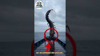 A Fisherman Got an enormous sea creature from the Deep #fishing #ai