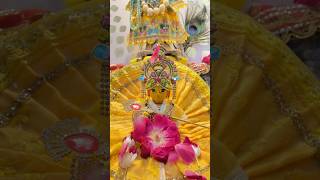 Radhe Krishna 🧿🥰#viralvideo #virdavan #trendingshorts #explorepage #barsana #ytshorts #shyam #yt