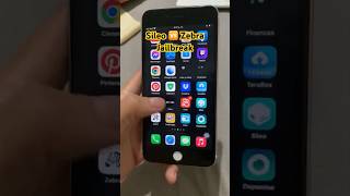 Sileo 🆚 Zebra #jailbreak #trollstore #dopamine #viral #ios #iphone #parati #viralvideo #shorts