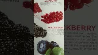 #kids#kidssong#bforberry#bforball#kidsvideos#viral#trending#shorts#short#kidsrhymes#alphabatesrhymes
