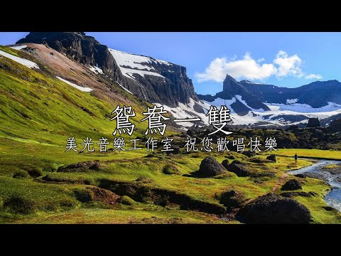 鴛鴦一雙 林慶源.楊淑慎 合bGm調 全自製伴唱