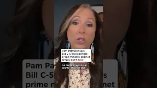 Pam Palmater says Bill C-5 gives powers prime minister, cabinet simply don't have