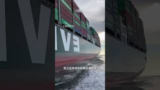 千万要远离大货轮，不然你就会后悔！ #科普 #涨知识 #远离轮船 #内容启发搜索