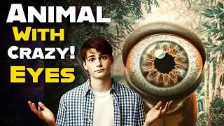 How Do Animals See This World? Animals Eye Vision!