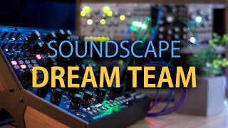 These Moog Synthesizers and Eurorack Modules are amazing together!