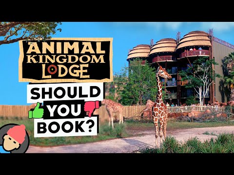 Disney's Animal Kingdom Lodge Review: Meeting Expectations?
