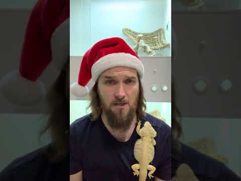 Merry Xmas and Happy New Year  - Cookies Critters - 2020 #shorts