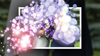 Flare Glow Transition