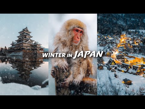 Winter in Japan: Capturing EPIC Winter Landscapes!