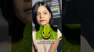 Today, let’s talk about caterpillars!#whatiswhat #caterpillar