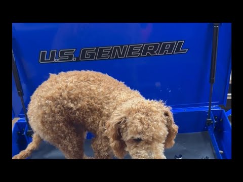 US General Toolbox Assembly #harborfreight #shorts