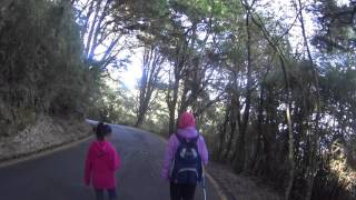 2016玉山國家公園跨年_鹿林小徑