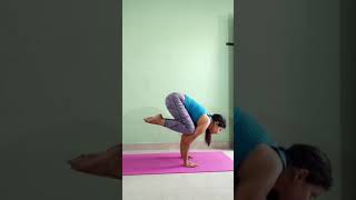 Bakasana for beginners | in hindi | Bakasana for beginners crow pose yoga arm balance | #shorts