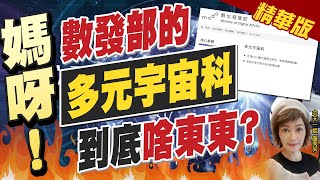 【盧秀芳辣晚報】數發部"多元宇宙科" 網友PTT問卦"上班專長?請誰才能運作?" 黃揚明批唐鳳:中文造詣糟糕到無以復加!@中天新聞CtiNews  精華版
