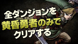 オールダンジョン装備縛り攻略解説『黄昏の勇者編』【ゼルダの伝説 ティアーズ オブ ザ キングダム】