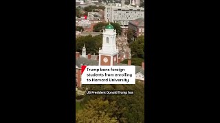 Trump bans foreign students from enrolling at Harvard University