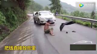 廣東碰瓷黨
