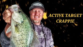 Lowrance Active Target crappie tree 1/16 oz jig