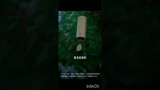 一个人的人品，担当，责任心和善良，以及家庭背后刻在骨子里的教养。#品茶静心 #茶生活 #寻一处幽静觅一份清欢 #人生感悟 #认知 #情感 #国学文化 #正能量 #人生智慧 #人生智慧 #现实 #感悟