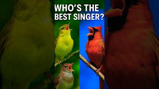 Bird Sounds for Sleep, Study & Relaxation | Real Singing, Chirping & Nature Audio – No Music