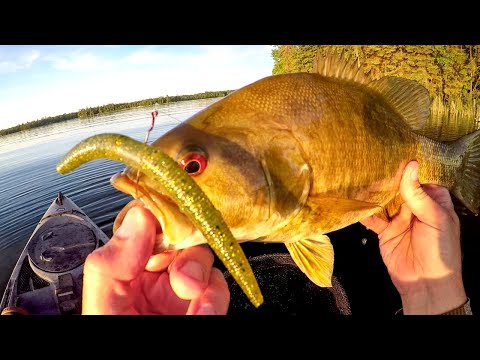 Evening Smallies On A New Lake