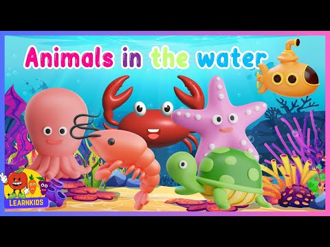 WE ARE SEA ANIMALS ANIMALS IN THE WATER #dailyuseenglish #easyenglish #kidslearning #seaanimals
