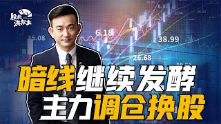 低位放量反弹，超跌股领涨，这类股望继续走强