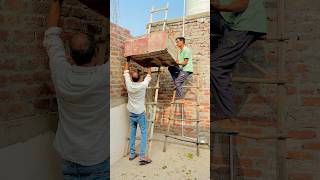 I placed the pigeon's loft on top of the roof 🥰 #shorts #ytshorts #minivlog #pets #pigeon