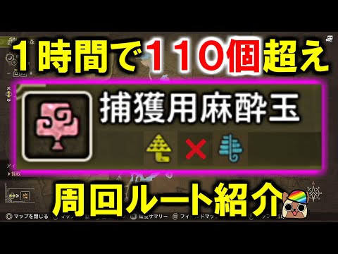 1時間で110個オーバー！捕獲用麻酔玉を簡単に集めるオススメ効率周回ルート紹介　モンハンワイルズWilds