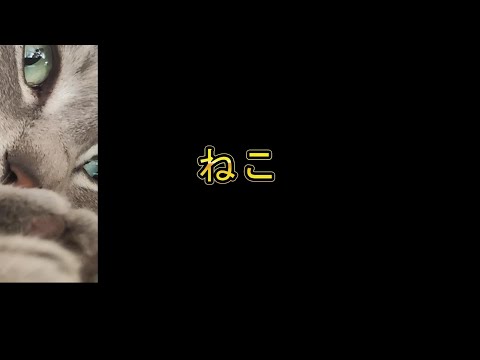 短編ねこどうが🐈最初だけ、ボス君登場