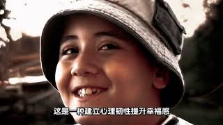 情绪调节策略：书写疗愈、正向思维训练