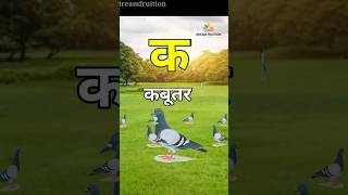 ka se kabutar 🕊 hindi kako #shorts #dreamfruition #youtubeshorts #ksekabutar