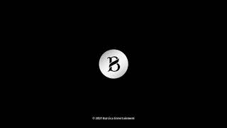 Burcica App Startup Screen (2021)