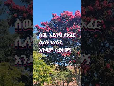 ሰዉ አይንህ ለአፈር ሲለኝ እየሱስ አንዴም ሳይተወኝ Orig.Singer Tesfaye Challa Covered by Pastor Kassahun Lema#youtube