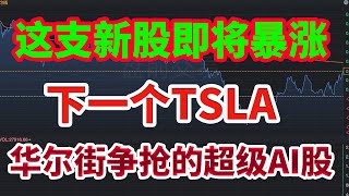 美股投资｜8年狂飙18000%！2025最强IPO即将登陆，华尔街疯抢的AI军工股！这家公司比FIGMA更强！下一个特斯拉？下一个PLTR？凭什么估值几百亿？美股趋势分析｜美股长线投资｜美股赚钱