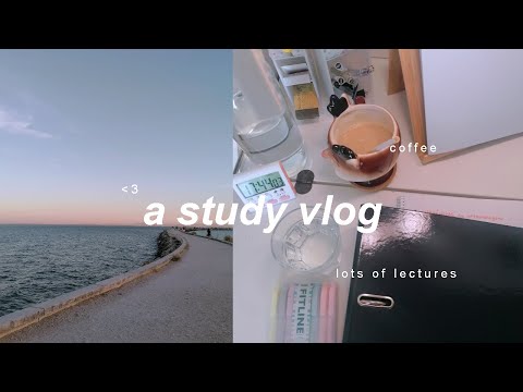 productive day cramming lectures w/ me 🌞✨